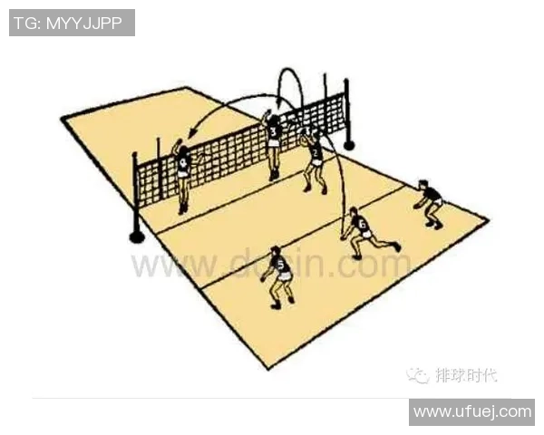 成都排球队排球战术解析与运营体系创新研究